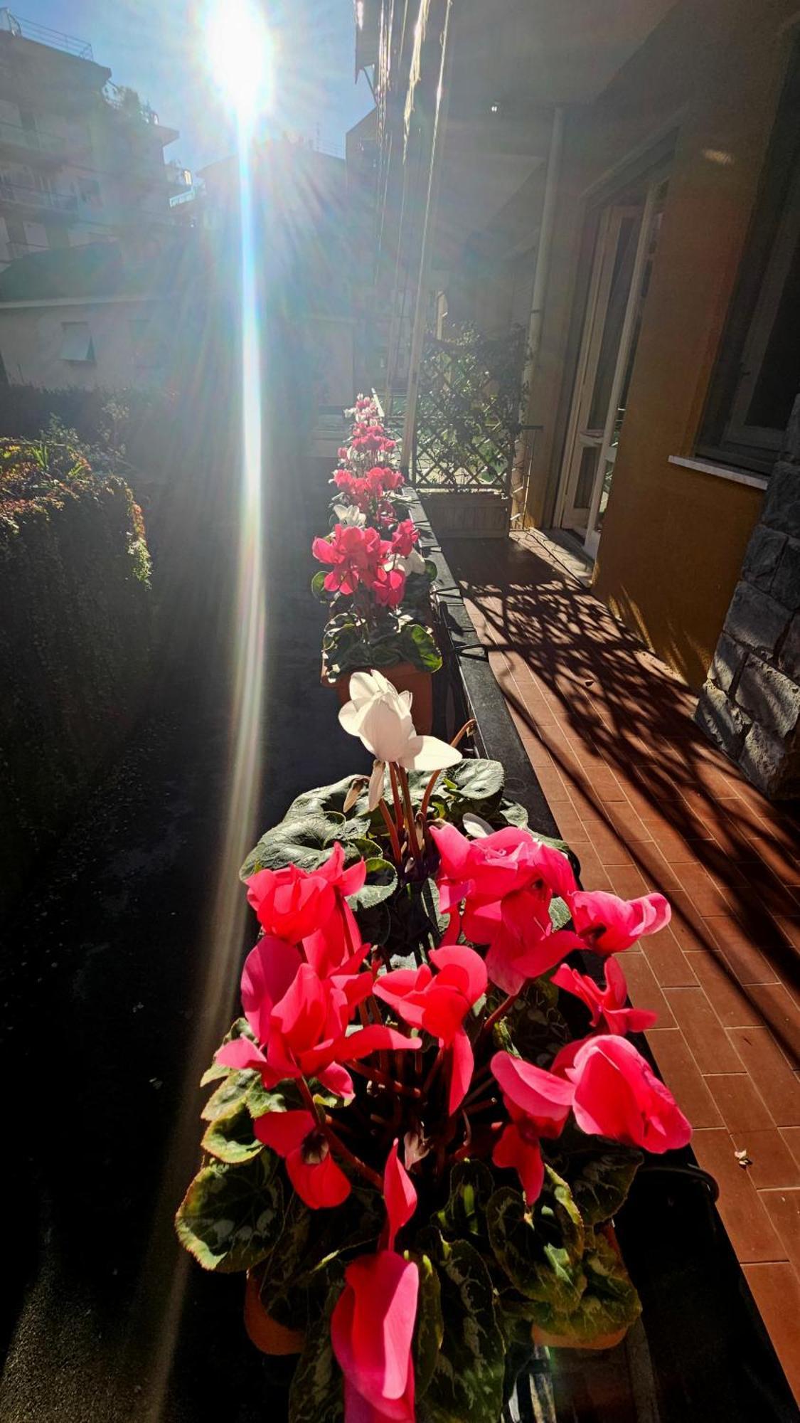 라팔로 Casa Con Giardino Vicino Al Mare 아파트 외부 사진